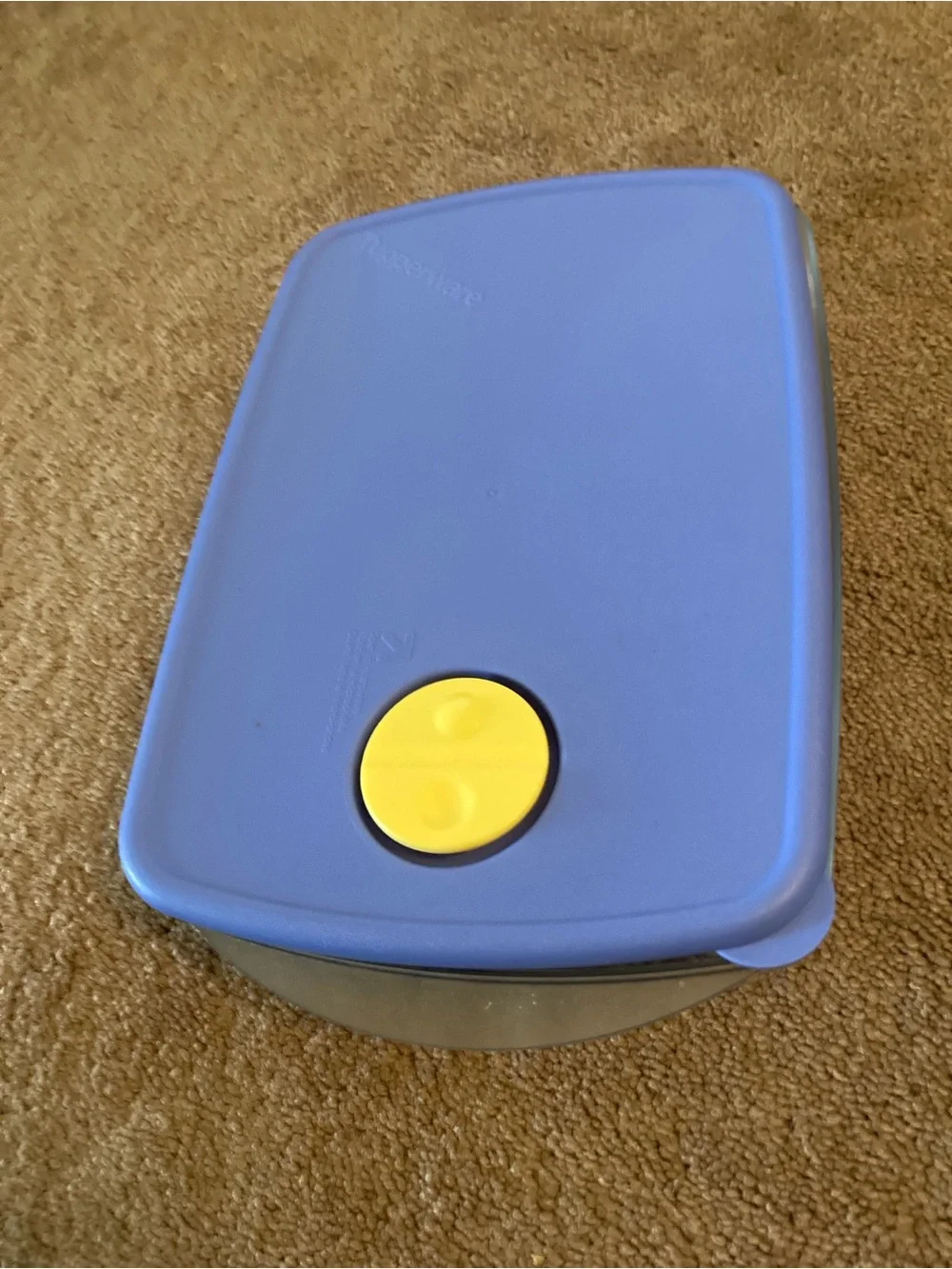 Tupperware brand oblong container